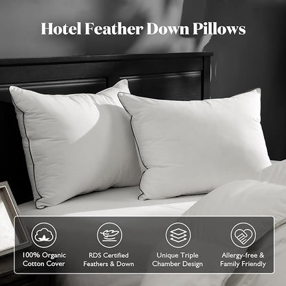 BPC Luxury Feather Down Pillow Queen Size Set of 2 - Medium-Firm Feather Pillow, 3-Chamber Bed Pillow Inserts with Organic Cotton Cover, Surrounded by Polyester, 20x30 Inches