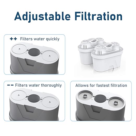 Frizzlife Water Filter Pitcher, Large 10 Cup Purifier with Filter Life Remind, Long Lasting, Adjustable Filtration Speed, Reduces Chlorine, Heavy Metals, Fluoride, Bad Taste & Odor, Dark