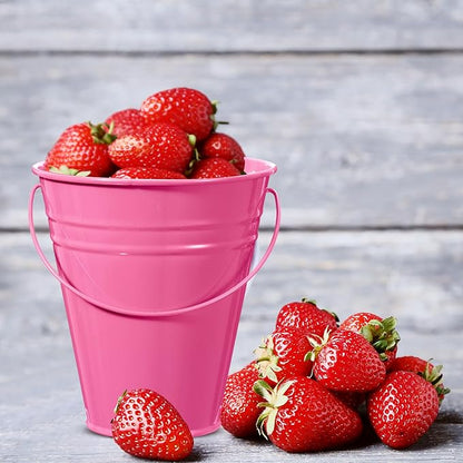Sadnyy 12 Pack Metal Buckets with Handle, Galvanized Bucket 4.5 x 5 Inch Basket Bucket for Kids, Kids Party Supplies, Crafts for Christmas Halloween Christmas Candy Bars Vase Crafts(Pink)