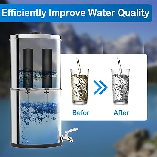 Water Filter Replacement for Berkey® Purification Elements Compatible with Berkey® Countertop Gravity Filter System Reduce Chlorine Black (Pack of 2)