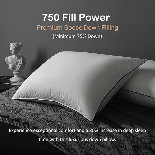 Luxury All Hungarian Goose Down Pillows Standard Size,Soft and Support Down Bed Pillow for Back,Side,Stomach Sleepers,480 Thread Count 100% Cotton Shell,Standard Size Soft Pillow 2 Pack 20"x26"