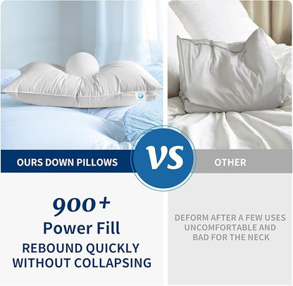 Canadian Luxury Goose Down Pillow Queen Size - 900 Fill Power, 600 TC Cotton Shell- Ultra Soft and Comfort Sleep Pillows - Bed Pillows for Back, Stomach, Side Sleeper(White,Queen(Pack of 1))