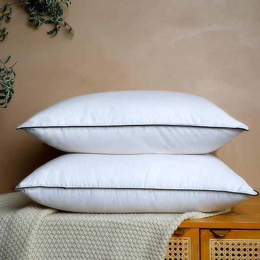 Natural White Goose Down Pillows- 550 Fill Power Down Pillow Queen Size - Soft and Support Down Bed Pillow for Back,Side,Stomach Sleepers，Queen (2 Pack ，20" x 28")