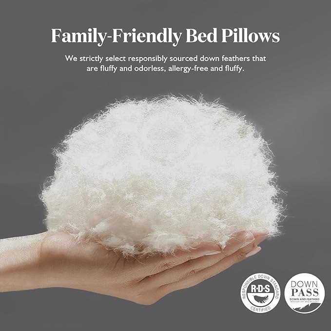 BPC Luxury Feather Down Pillow Queen Size Set of 2 - Medium-Firm Feather Pillow, 3-Chamber Bed Pillow Inserts with Organic Cotton Cover, Surrounded by Polyester, 20x30 Inches