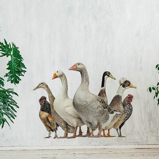 Funny Ducks Wall Decal Peel and Stick Removable Ducks Wall Stickers Funny Gift for Christmas Friends Kitchen Dishwasher Fridge Sticker Wall Window Decor Kids Bedroom Decor
