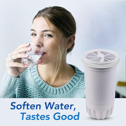 ICEPURE NSF53 6-Stage Pitcher Water Filter Replacement for Zero Pitchers ZR-017, ZR-001, ZR-003, ZR-004, ZR-006, ZR-008, ZR-012, ZR-600,0-TDS 4PACK