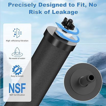 Water Filter Replacement for Berkey® BB9-2® Black Purification Elements, Activated Carbon Filters Compatible with Berkey Gravity Water Filtration System, Pack of 2