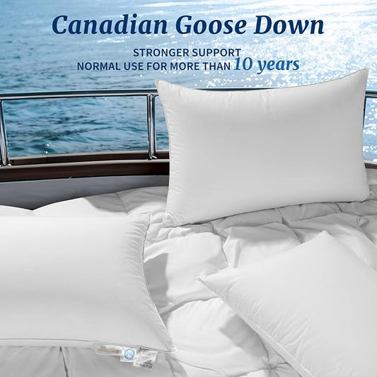 Canadian Luxury Goose Down Pillow King Size - 1050 Fill Power, 600 TC Cotton Shell- Ultra Soft and Comfort Sleep Pillows - Bed Pillows for Back, Stomach, Side Sleeper(White,King(Pack of 1))