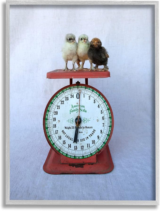 Stupell Industries Country BaBy Chick Birds on Vintage Kitchen Scale Framed Wall Art, Design By Tania Soderman