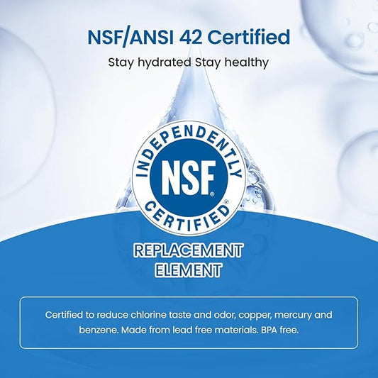 Upgraded Water Filter Replacement for Zero Pitchers and Dispenser ZR-001 ZR-004 ZP-006 ZR-017, Multi-Stage Filter System Reduce Lead, Chromium, PFOA/PFOS Contaminants and TDS,2 pack