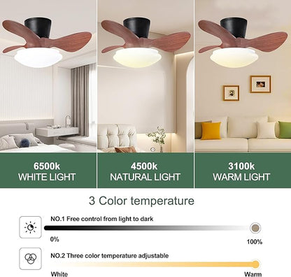 NicBex Ceiling Fan 24 Inch Ceiling Fan with Lights Ceiling Fans with 3 ABS Blades and Remote Control DC Motor Ceiling Fan with Flush Mount for Bedroom, Living Room, Walnut