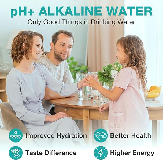 SimPure T1-400ALK ALK Filter Replacement Alkaline Cartridge, 6 Months Replacement Cartridge (1 Pack)