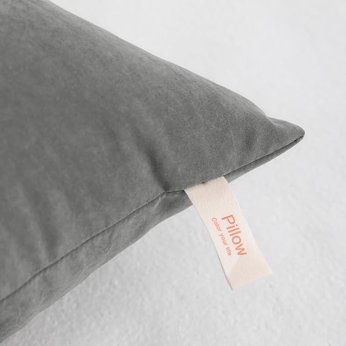NTBAY Toddler Pillows, Down Alternative 13"x18" Pillows, Machine Washable - Soft and Breathable Travel Small Pillows for Sleeping, Ideal for Daycare, Crib, Cot, Dark Grey