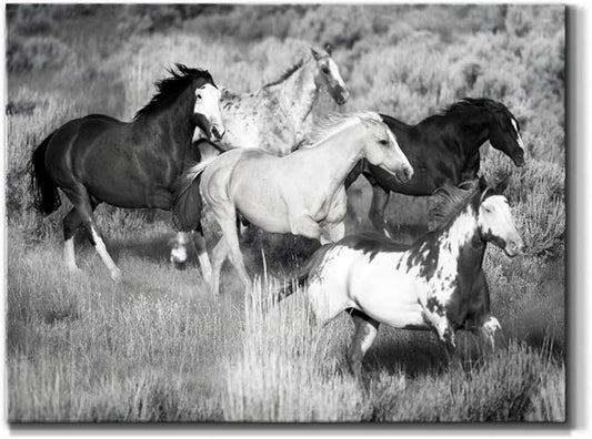 Renditions Gallery Canvas Animal Wall Art Modern Decorations Paintings Running Vintage Horses Black & White Nature Wall Hanging Artwork Prints for Bedroom Office Kitchen - 12"x18" LT33