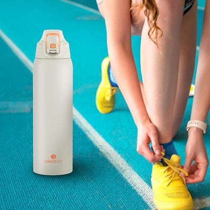Insulated Sports Water Bottle, Stainless Steel Water Bottles with Locking Flip Top Lid, Insulated Bottle with Double-Wall Vacuum Insulation for Fitness and Outdoor Enthusiasts