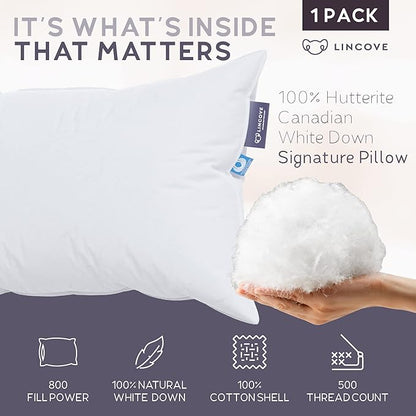 Lincove Signature 100% Natural Canadian White Down Luxury Sleeping Pillow - 800 Fill Power, 500 Thread Count Cotton Shell, Made in Canada, King - Soft, 1 Pack