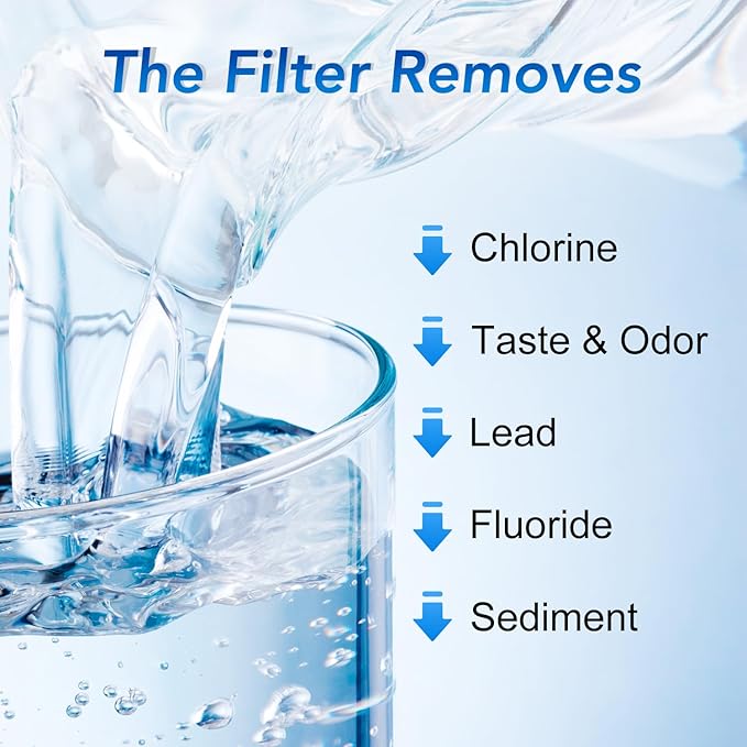 ICEPURE NSF53 6-Stage Pitcher Water Filter Replacement for Zero Pitchers ZR-017, ZR-001, ZR-003, ZR-004, ZR-006, ZR-008, ZR-012, ZR-600,0-TDS 4PACK