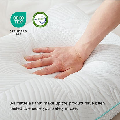 Shredded Memory Foam Pillows Bed Pillows King Size Pillows Set of 2, Summer Cooling Pillows for Hot Sleepers with Washable Pillowcase, and Winter Soft Dual Sided Pillow for Back Sleepers