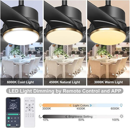 Ohniyou 56 Inch Black Ceiling Fan with Lights, Modern 3 Blades Ceiling Fan with Remote/APP Control, Reversible DC Motor, Dimmable 3 CCT, Indoor Outdoor Ceiling Fan for Covered Patios Living Room