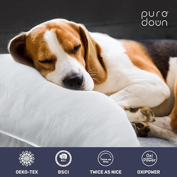 puredown® Goose Feathers Down Pillows, Hotel Collection Standard Pillows for Sleeping, White Embossing Pillows Set of 2 for Back Stomach Side Sleepers (Netting White, Queen (Pack of 2))