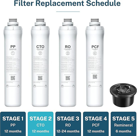 Bluevua ROPOT CTO Filter, Replacement for RO100ROPOT, 1-year Lifetime-2nd Stage