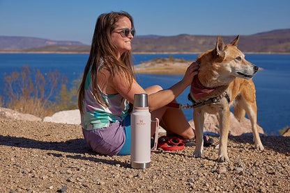 Stanley Classic Vacuum Insulated Wide Mouth Bottle -BPA-Free 18/8 Stainless Steel Thermos for Cold & Hot Beverages