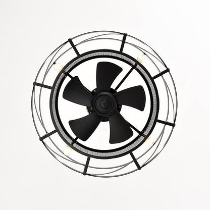 NicBex Ceiling Fan 20 Inch Modern Ceiling Fan with Lights Ceiling Fans with 5 Blades and Remote Control Reversible Small Caged Ceiling Fan for Bedroom, Living Room, Matte Black