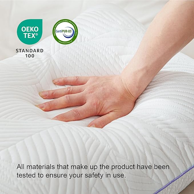 Shredded Memory Foam Pillows Bed Pillows Queen Size Set of 2, Summer Cooling Pillows for Hot Sleepers with Washable Pillowcase, and Winter Soft Dual Sided Pillow for Back Sleepers