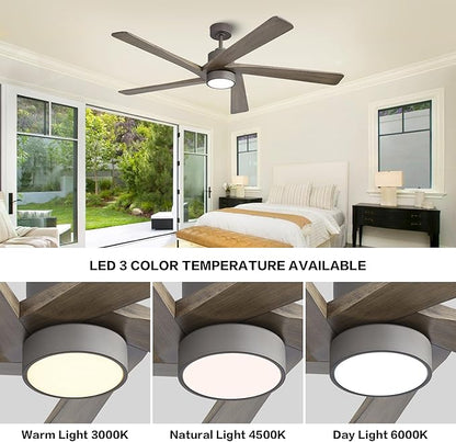 WINGBO 54 Inch DC Ceiling Fan with Lights and Remote Control, 5 Reversible Carved Wood Blades, 6-Speed Noiseless DC Motor, Modern Ceiling Fan in Graphite Finish with Gray Blades, ETL Listed