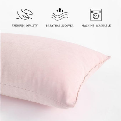 BEDSUM 2 Pack Pillows, 13"x18" Microfiber Pillows for Travel, Pets, Soft and Machine Washable Small Pillows for Neck, Wrist, and Knee Comfort, Pink
